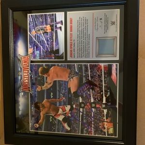 LE Jericho Signed Wrestlemania Ring Canvas Photo